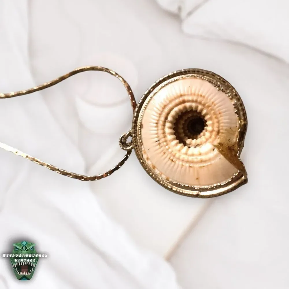 VINTAGE Power Nautilus Seashell & Gold Tone Metal Chain Pendant Mermaid Necklace - Picture 8 of 10